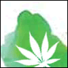 Marihuana fariana