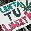 Reforma de humo