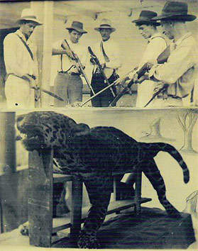 La cacería del tigre