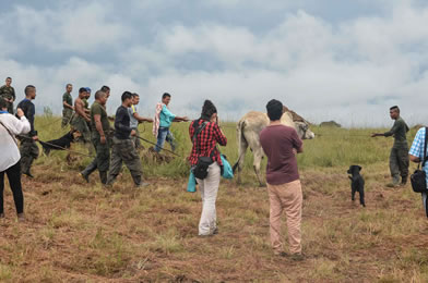 Conferencia nacional guerrillera de las Farc • Fotografías Andrea Aldana