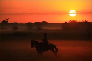 Vaqueros