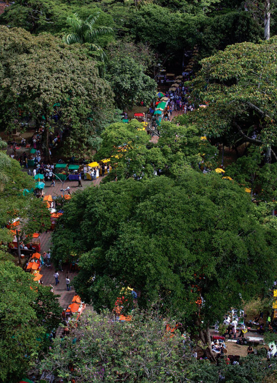 Parque Bolívar, fotografía Juan Fernando Ospina