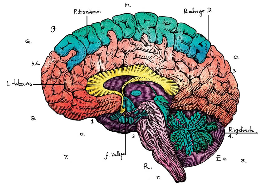 Ilustraciones: Tobías Arboleda