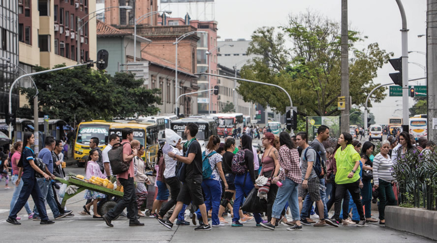 Selva a Centro