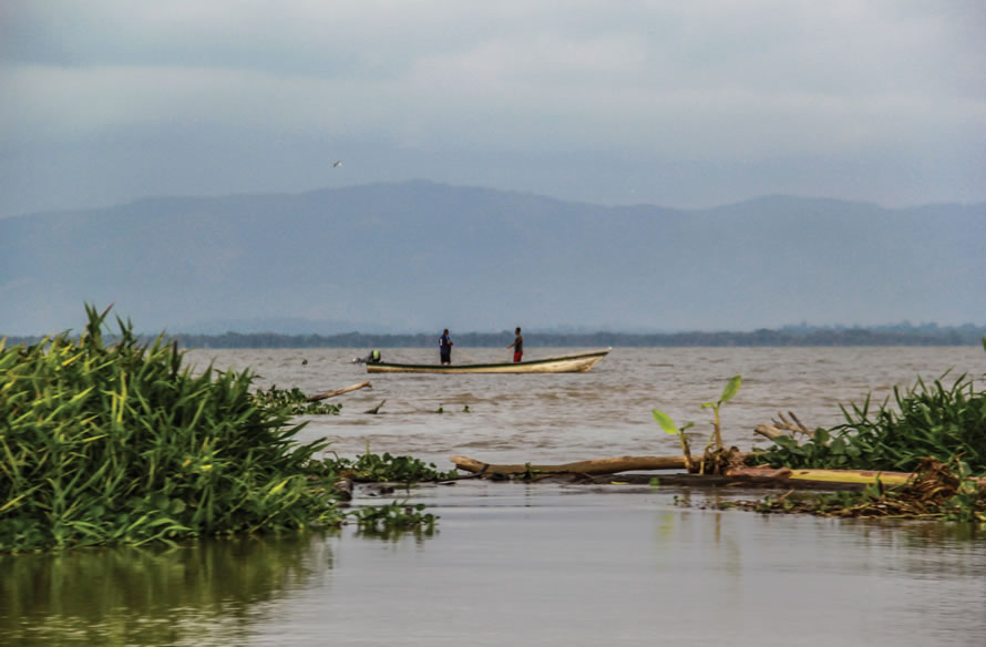 Ciénaga de Unguía. Fotografía: Ferley Maussa Sierra.