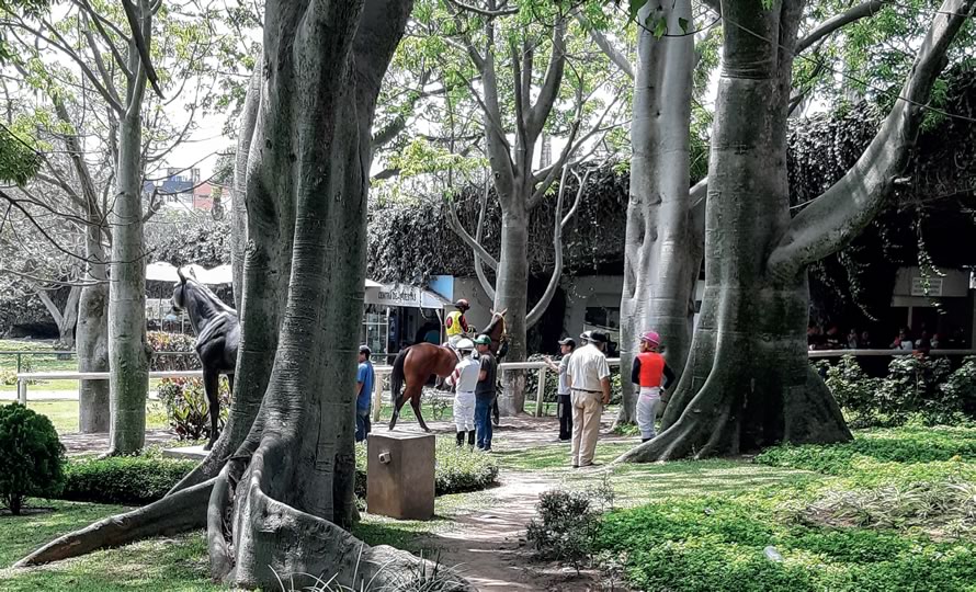 Fotografía Pascual Gaviria