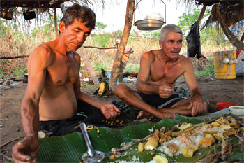 viudo de pescado