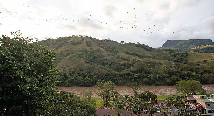 Fotografía: Juan Fernando Ospina