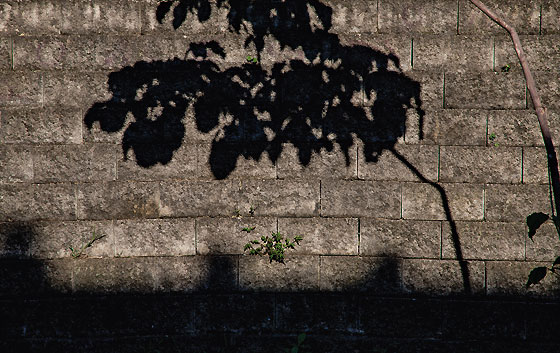 Fotografía Juan Fernando Ospina