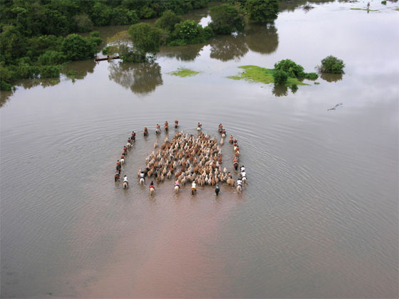 Fotografías de Carlos Pineda