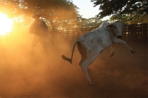 Fotografías de Carlos Pineda