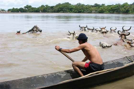 Fotografías de Carlos Pineda