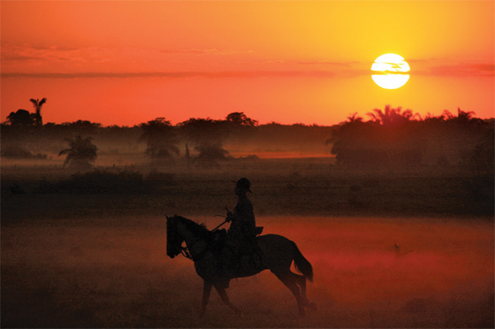 Fotografías de Carlos Pineda