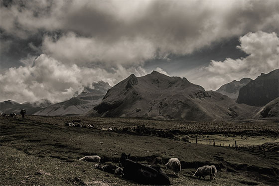 Fotografías: Rodrigo Grajales