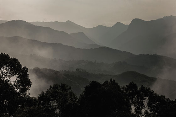 Fotografías: Rodrigo Grajales