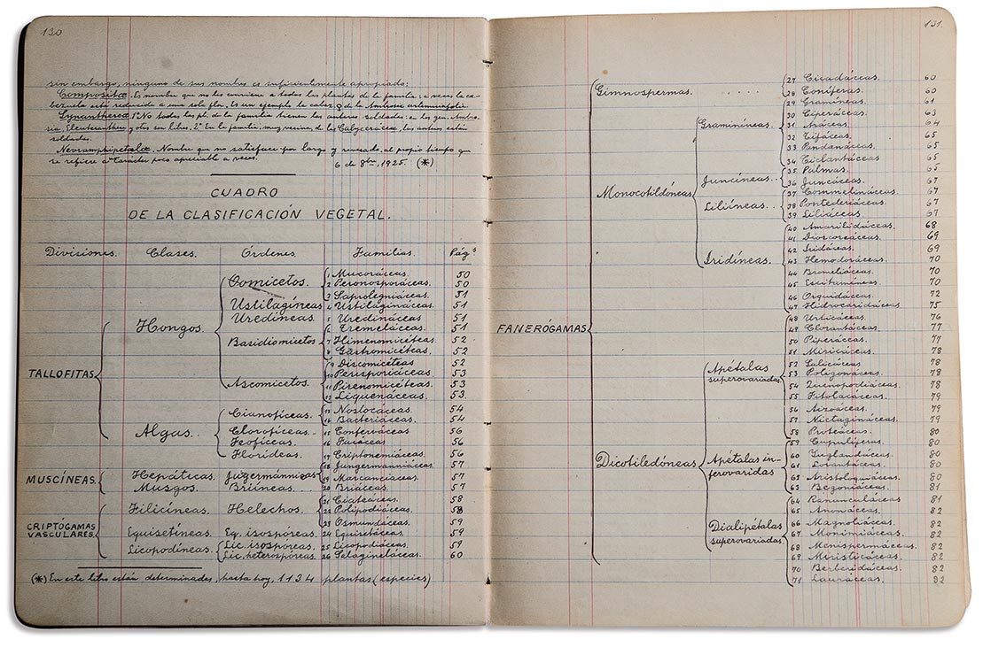 Imágenes: Apuntes de botánica, 1929.