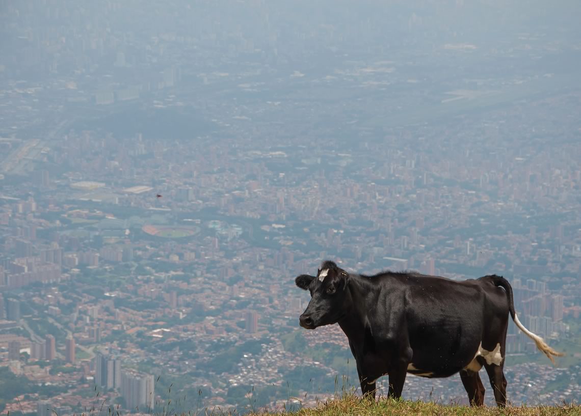 Fotografías: Pilar Sepúlveda A.